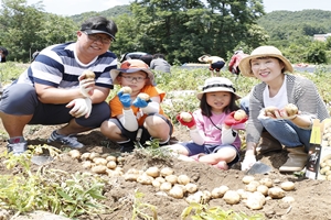 괴산 감물감자축제, 6월 18일부터 20일까지 개최