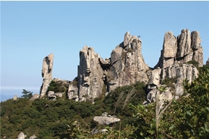 호남의 5대 명산 천관산과 함께하는 정남진 수목원, 천 개의 돌탑 힐링 명소 