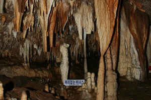 단양 천연동굴, 미지의 땅속 여행 명소로 인기!