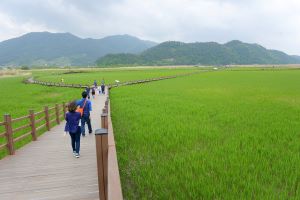 순천만습지, 우수 열린관광지에 선정