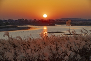 익산 도심 수변공원, 코로나19 핫플레이스로 떠올라