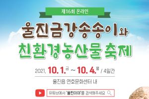 『온라인으로 만나는 솔향의 축제』