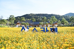 가을꽃 향기 가득한‘산소카페 청송군’