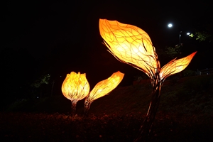 노원구, 노원달빛산책 20일 개막... ‘달에서 본 지구’ 희망을 밝히다