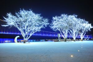 예산군, ‘빛의 향연’으로 더 따뜻하고 아름다운 겨울밤!