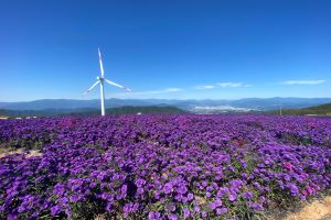 거창 감악산, 한국관광공사 올해의 여행지 TOP9에 선정