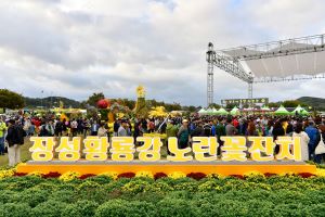 장성 황룡강 노란꽃잔치, 2022년 전라남도 대표축제 선정!