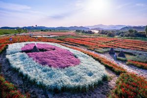 '22 전국 봄철 비대면 안심관광지', 경남 3곳 선정