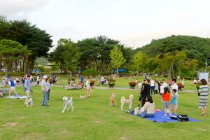 순천 조례호수공원, 반려견 산책 코스로 인기