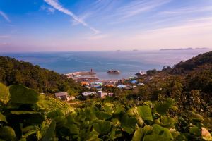 야생화 만발 ‘안산 풍도(楓島)’…“봄기운 받으러 오세요”