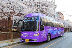 부릉! ‘마포시티투어’ 버스 시동…단돈 1만원으로 즐기는 마포여행