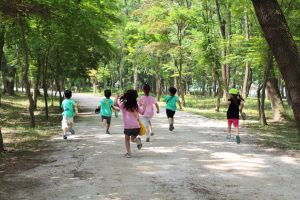 싱그러운 5월, 온 가족 함께 어린이친화공원 남이섬으로 떠나보자!