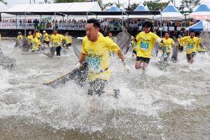 봉화에서 COOL하게~ 은어로 FUN하게~ 3년을 기다렸다! 봉화은어축제!