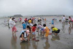 자연이 좋다! 갯벌이 숨 쉰다! 고창갯벌축제로 GO! GO! 