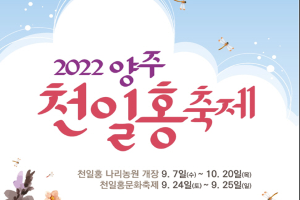 양주시,‘2022 천만송이 천일홍 축제’ 나리농원 일원서 24~25일 개최