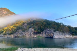 금산군 월영산 출렁다리, 방문객 50만명 돌파!