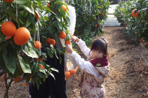 이천시 농촌체험휴양마을 비상을 꿈꾸다! 이천 농촌휴양마을로 놀러오세요! 