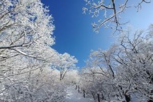 단양 소백산 겨울왕국 등산객 발길 유혹