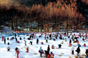 제30회 태백산 눈축제,  당골광장에서 더욱 알차게 즐기는 법