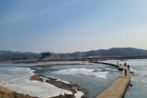 안동, 걸어서 만나는 도산서원 시사단, 새로운 풍광‘눈길’