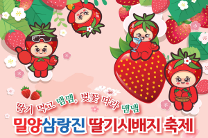 제13회 밀양삼랑진 딸기시배지 축제 개최