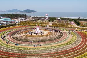 신안군! 홍매화＆튤립정원에서 화사한 봄꽃의 향기따라 튤립 축제 열려