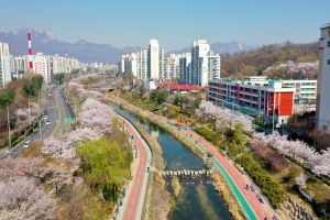 강북구 대표 벚꽃명소 우이천서 첫 문화예술축제 ‘우이천 꽂히다’