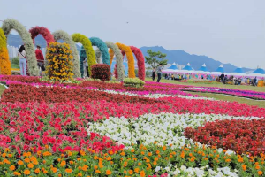 제8회 김해 꽃 축제,  5월 11일부터 5월 14일까지 4일간 개최