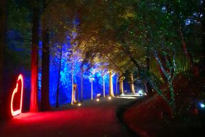순창군, 반딧불 조명 등 다양한 빛의 향연 강천산군립공원 야간개장 