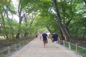 함양상림공원, 걷기 좋은 명품숲길 50선에 선정