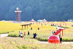 청송군, 가을의 시작 알리는 ‘산소카페 청송정원’