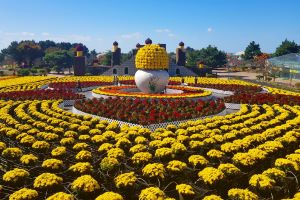 ‘2023 태안 가을꽃박람회’ 9월 15일 꽃지해안공원서 개막! 