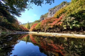 순창군 강천산 군립공원, 이번 주말 단풍 구경하러 오세요!