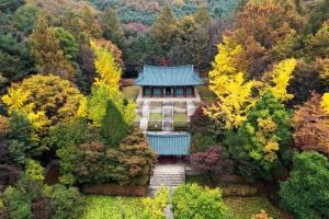 서울 관악구, 가을의 선물! 챗GPT가 추천하는 환상적인 단풍 명소 5선