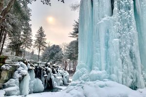 남이섬 겨울축제가 온다! 2024 Winter Wonder Nami Island