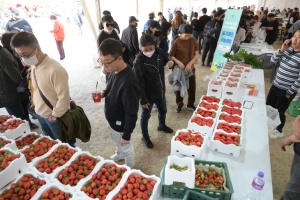 논산딸기축제, 전국에서 손꼽히는 축제로 인정받아