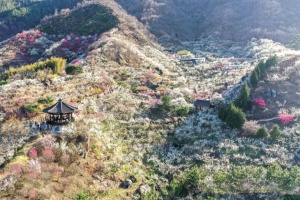 광양시, 3월은 광양여행 가는 달, 3월 광양여행코스 