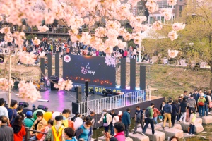 도봉구, ‘2024년 도봉 벚꽃축제’ 개최…개막행사 오는 3월 29일