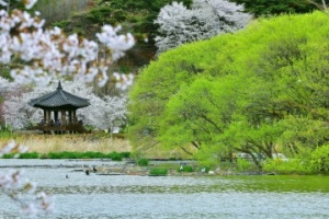 “봄꽃의 향연 만끽하세요” 아산시 3월 추천 여행지는?