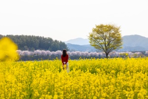  광양시, 4월은 광양여행 가는 달