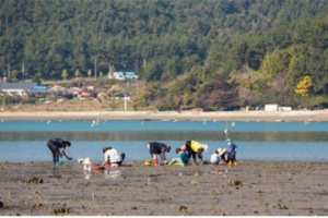 4월의 경상남도 수산물·어촌여행지·무인도서 선정!