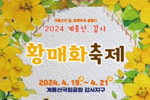 공주시, ‘갑사 황매화 축제’ 4월 19~21일 3일간 진행