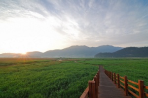 순천만국가정원, 순천만습지, 한국관광공사 우수 웰니스관광지로 재지정