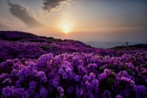 경남도, 5월에 가볼 만한 곳, 싱그러운 발걸음으로 떠나는 봄 소풍