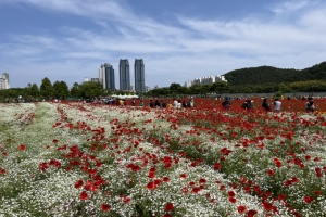 울산시, 6,000만 송이 활짝, 태화강 국가정원 봄꽃축제 17일 개막