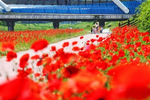 괴산을 핫하게!, ‘2024 괴산 빨간맛 페스티벌’ 24일 개막