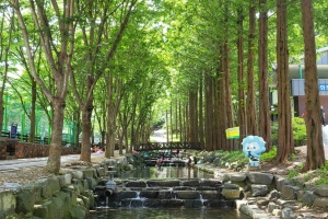 청양군, 칠갑산자연휴양림 새 단장 마치고 여름철 개장