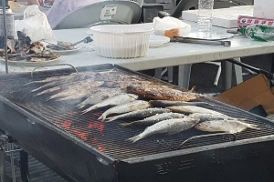 사천 여름철 별미 ‘햇전어’가 돌아왔다! 