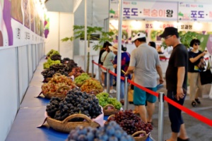 8월의 달콤한 유혹, 2025 향수옥천 포도복숭아축제 개막