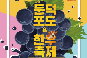 거제시, 제14회 거제둔덕포도 & 한우축제 개최